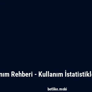 Betlike Kullanım Rehberi - Kullanım İstatistiklerinin Analizi